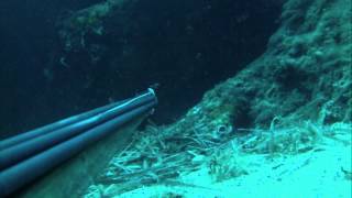 Spearfishing 13/04/2012 Σουπιές \u0026 Σφυρίδα