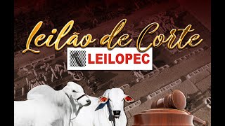 CANAL LEILÕES | LEILOPEC UBERABA - MG (12/01/2025)