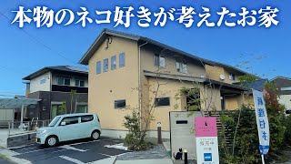 【ルームツアー戸建て】本物のネコ好きが考えたネコ愛が溢れる邸宅/新産住拓の注文住宅/にゃんだふるほーむ/猫と暮らす家