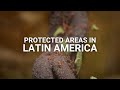 Megadiverse Strength – Protected Natural Areas in Latin America