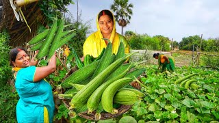 प्याज वाली तोरी की सब्जी इस तरीके से बनाएं और सभी के साथ मिलकर खाएं तोरई Turai