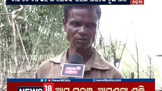 Mayurbhanj: ବଢୁଛି ତାତି, ବଢୁଛି ଜଳକଷ୍ଟ | NEWS18 ODIA