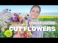 How to Cut and Condition Flowers for a Long Vase Life {Incl. Tips for Dahlias, Zinnias, Snapdragons)