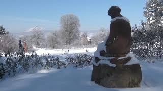 PUNKTum Winter im Europa-Rosarium Sangerhausen