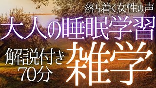 【睡眠導入】朝までぐっすり💤 眠れないあなたに 寝ながら知恵がつく 大人の睡眠学習 解説付き 雑学 睡眠用BGM 聞き流し ai【落ち着く女性の声・合成音声】