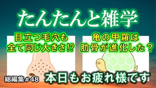 【睡眠導入用】たんたんと雑学（雑学シリーズ総編集 #48）【朗読・作業用・睡眠用BGM・聞き流し・リラックス・不眠症対策/トリビア・豆知識・小話・うんちく】毎日21時に更新中！