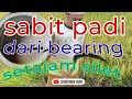 sabit khusus potong padi setajam silet #tutorial #viral