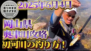 [Ayu fishing] 2025/6/4 A flash of inspiration on my first river trip!