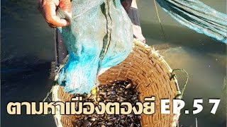 ตามหาเมืองตองยี EP.57 คนพม่าดักปลาขวางคลองในชนบทตองยี Myanmar Fishing Net in Taunggyi