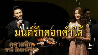 มนต์รักดอกคำใต้ Cover by อลิศ ธนัชศลักษณ์ ฮัดสัน และ โน้ต ศรัณย์ คุ้งบรรพต