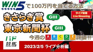 【WIN5で100万円：ライブ分析編】 2023年2月5日（日）きさらぎ賞・東京新聞杯