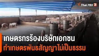 เกษตรกรร้องบริษัทเอกชน ทำเกษตรพันธสัญญาไม่เป็นธรรม จ.สุพรรณบุรี - กาญจนบุรี | สถานีร้องเรียน