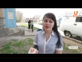 utv. Волонтеры спасли 17 кошек