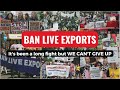 Ban Live Exports. FULL STOP.