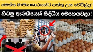 මෙන්න මාෆියා, පාතාල කල්ලි නායකයෝ හැංගිලා කරන වැඩ! (Explained)