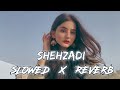 O Shehzadi Tu Bilkul Vaisi Ho ( Slowed And Reverb ) Hindi Song 2024 | Smart Lofi Xyz