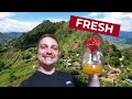 Fresh Calamansi Juice From The Farm (Exploring Davao City)