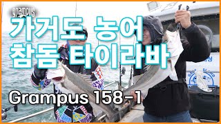 [가거도 농어 참돔타이라바] 그램퍼스 158-1 가거도 농어 참돔 타이라바 탐사