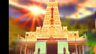 13/02/2022 வென்னிமலை முருகன் கோவில் மாசி ஏழாம் திருவிழா// vennimalai murugan temple 7th festival