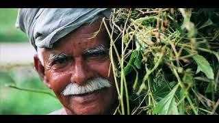 Cheruthari mannil palanira mannil.. Chernnezuthamoru shubhakalam.. Satheesh Ram Music