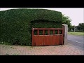 Trimming a Privet hedge