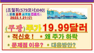 [조철휘(579코너)040]  쿠팡주가 폭락 연속 19.99 적신호!  주가하락이유?  문제점 / 대응방안.