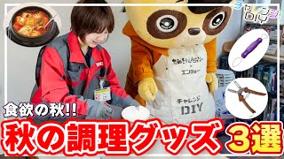 エンチョー×たぬき探偵ジェリーのチャレンジDIY Vol.39