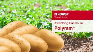 Kwentong panalo gamit ang POLYRAM® Fungicide | BASF