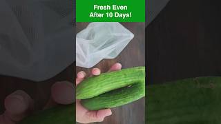 Cucumber Storage Hack - Fresh For Days! | खीरा को लंबे समय तक ताज़ा रखें