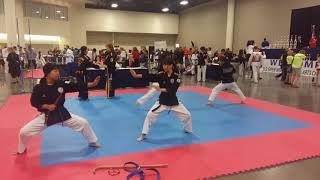 Moomookwan hapkido Federation world championships in USA 17 Year