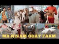 One of the Best Farm Mr. Nizam Goat Farm Hyderabad | With Beautiful Collection |