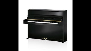 C. Bechstein A-114 Modern (neu) / MUSIK-EBERT