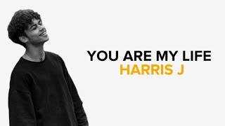 Harris J - You Are My Life ( Lirik Terjemahan )