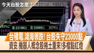 台積電.鴻海領跌! 台股跌221點失守23000點 外資連二賣! 再提款176億 投信回頭買38億｜【今天台股怎麼了】20241211｜主播 陳斯寧@投資看非凡 @ustvhotstock