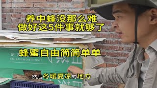 养中蜂没那么难，做好这5件事就够了，蜂蜜自由简简单单