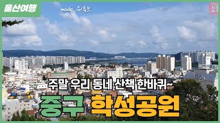 [울산여행] 우리동네 간단하게 산책즐기기 좋은 곳! 학성공원