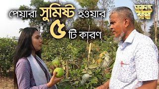 সাফল্য গাঁথা - পর্ব ৭ ঃ থাই পেয়ারা