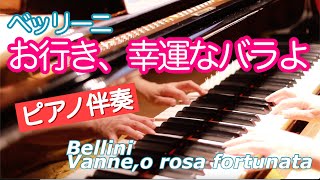 【ピアノ伴奏】Bellini Vanne, o rosa fortunataお「お行き、幸運なバラよ」