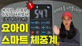 요아이 스마트 체중계 리뷰 (내돈내산 다이어트템)