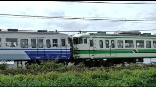 115系新潟　製造50年を迎えたL2+N18編成　信越本線上り424M