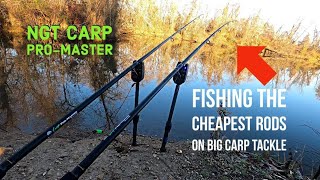 NGT Carp Pro Master rods review