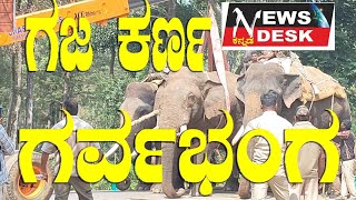 WILD ELEPHANT ಗಜ ಕರ್ಣ