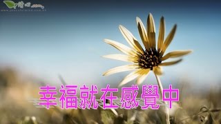 幸福就在感覺中