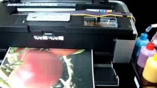 InkRepublic R2880 Continuous Ink System in action!