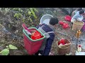 布依族祭山习俗，在山上杀鸡做饭吃，全村人都来场面好热闹