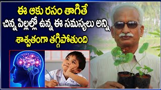 సరస్వతి ఆకు లో ఆరోగ్య ప్రయోజనాలు I Saraswati Leaf Health Benefits in Telugu | ayurvedam telugu