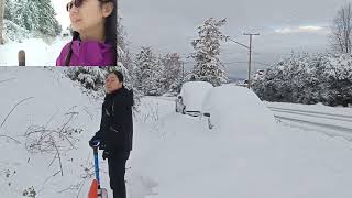 車子 被 雪 埋了