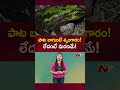 పాట బాగుంటే శృంగారం... లేదంటే మరణమే frog ntv