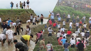 2017廣西桂林龍脊梯田(火把節)節慶搶山雞,捉魚