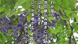 藤の花を詠む